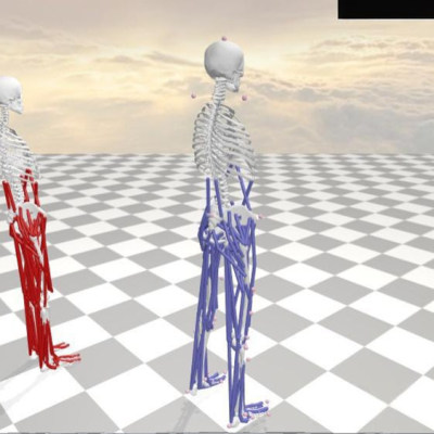 anybody ‌Visual3D数据生物力学肌肉力关节力矩建模仿真分析代做