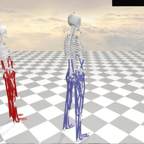 anybody ‌Visual3D数据生物力学肌肉力关节力矩建模仿真分析代做