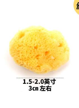 希腊进口天然丝柔海绵绘画用吸水海绵擦笔特殊肌理制作清洗工具