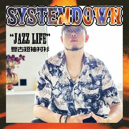 Casual 3D print plus size shirt休闲3D印花大码衬衫T恤