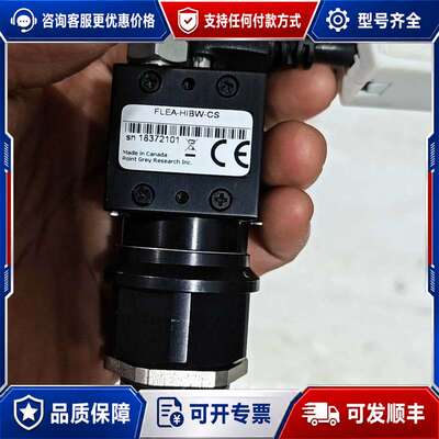 议价加拿大灰点 point grey，FLEA-HIBW-CS，可维修
