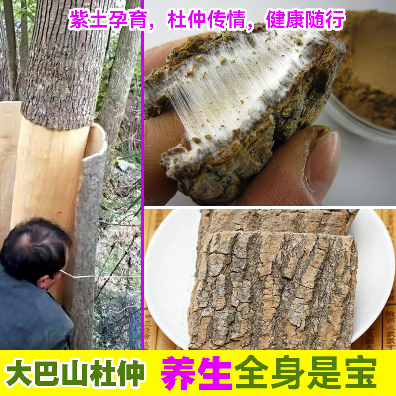 大巴山野生杜仲肝肾强筋骨泡酒
