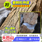 杜仲皮当季 四川大巴山野生杜仲正宗厚皮煲汤泡酒泡茶泡水喝杜仲片