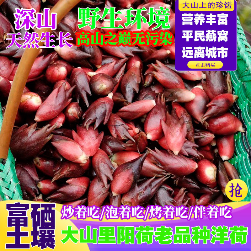 当季新鲜农家现挖蔬菜洋荷姜洋霍