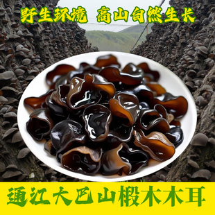 四川通江黑木耳农家大巴山野生干货特级野生椴木黑木耳春木耳500g