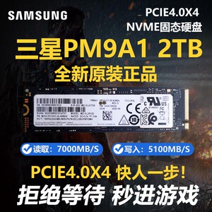 三星PM9A1 PM981a 512G 1T 2T M2 NVMe笔记本台式机固态硬盘SN750