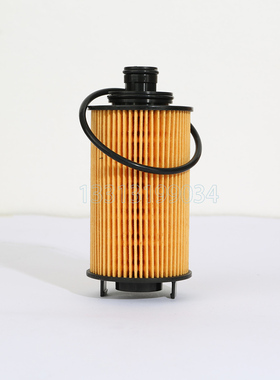 SH40X20136云内D19机油滤芯清器格D20机滤 JAC江淮轻卡 星锐1.9T