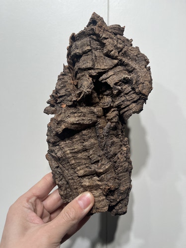 一物一拍 软木板尺寸12*26厚度4cm 送绑绳/螺丝/吕线挂钩 C01