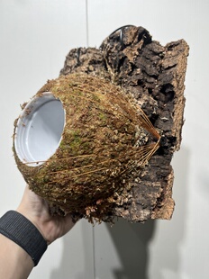 水苔球15cm送绑绳B394 19厚度5cm 一物一拍软木板水苔球 板15.5