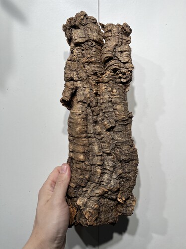 一物一拍 软木板尺寸13*35厚度4cm 送绑绳/螺丝/铝线挂钩 C26