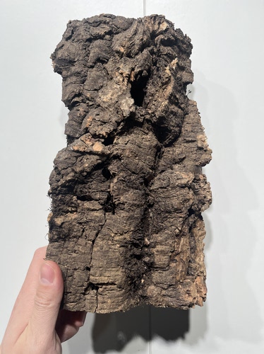 一物一拍 软木板尺寸14.5*25厚度5cm 送绑绳/螺丝/吕线挂钩 C03