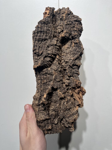 一物一拍 软木板尺寸12*29厚度4cm 送绑绳/螺丝/铝线挂钩 C16