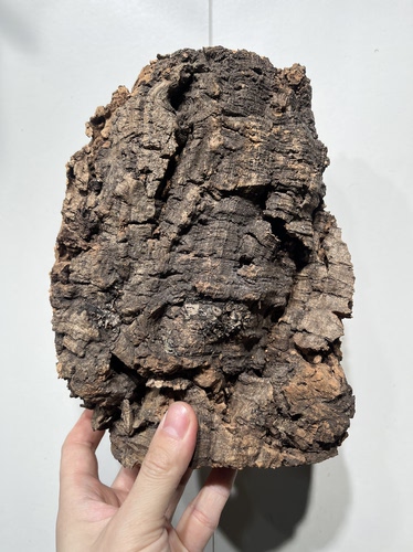 一物一拍 软木板尺寸18*22厚度6cm 送绑绳/螺丝/铝线挂钩 C19