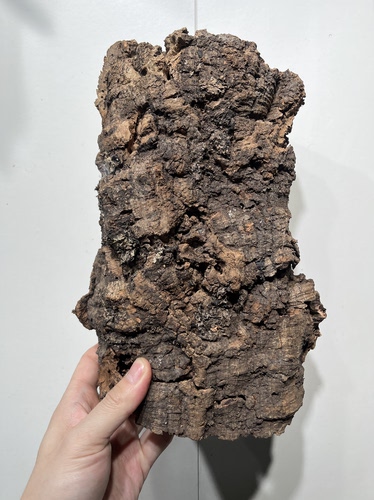 一物一拍 软木板尺寸19*27厚度6cm 送绑绳/螺丝/铝线挂钩 C20
