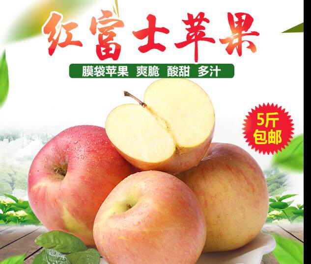 当季时令新鲜水果山西运城红富士苹果现摘5斤包邮