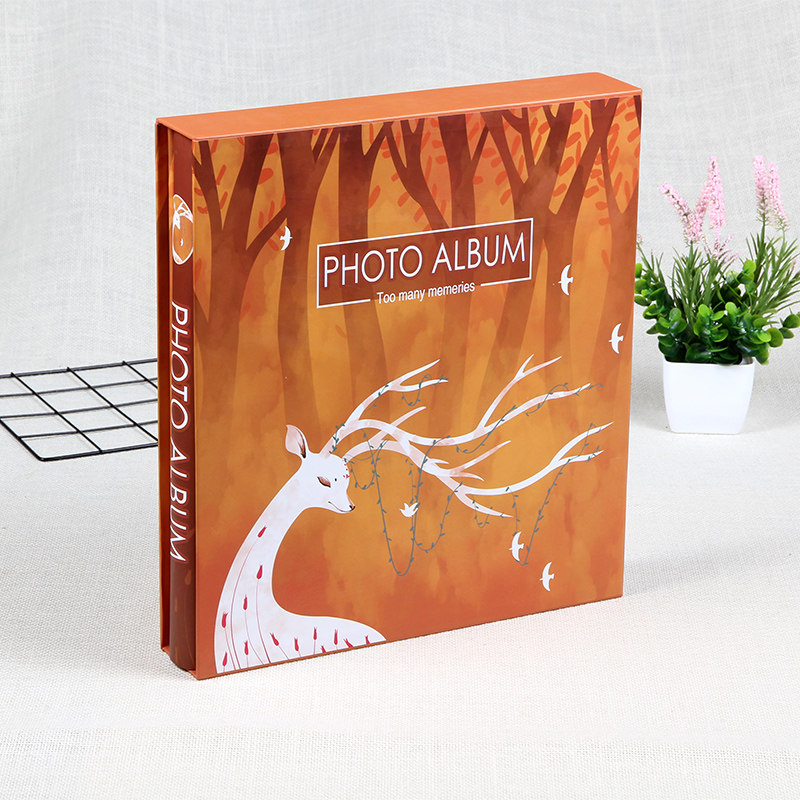 插页式成长塑封相册本