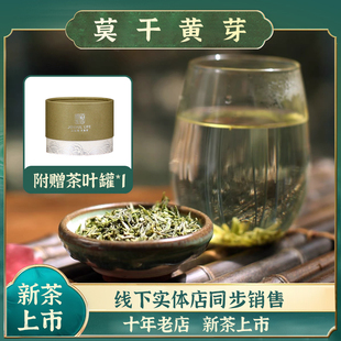 2025新茶莫干黄芽明前茶新茶浓香型高山茶云雾绿茶嫩芽50g
