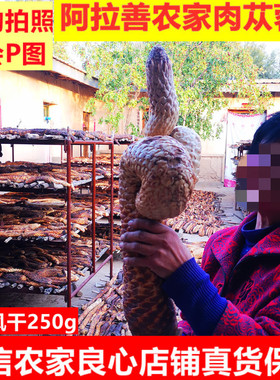 肉苁蓉250g阿拉善油切片整根内蒙古中药材非特级野生锁阳男泡酒料