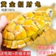 黄金龟观赏黄金龟宠物小乌龟正宗长寿金钱龟活体深水吃菜龟巴西