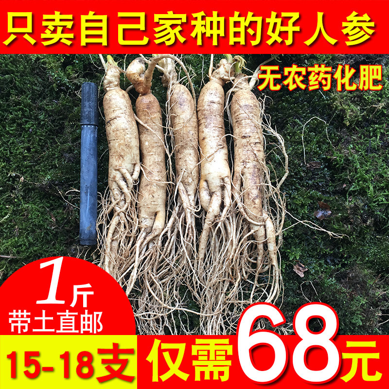 15-18支1斤鲜人参东北人参长白山带土新鲜人参泡酒参500g包邮