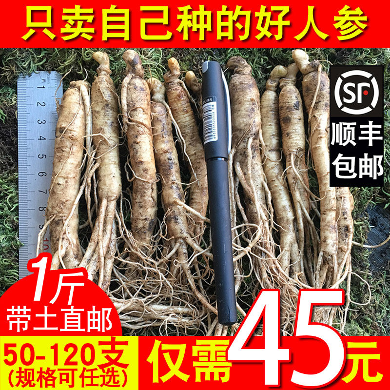 [40-50支1斤]东北人参带土新鲜人参长白山鲜人参泡酒煲汤500g包邮