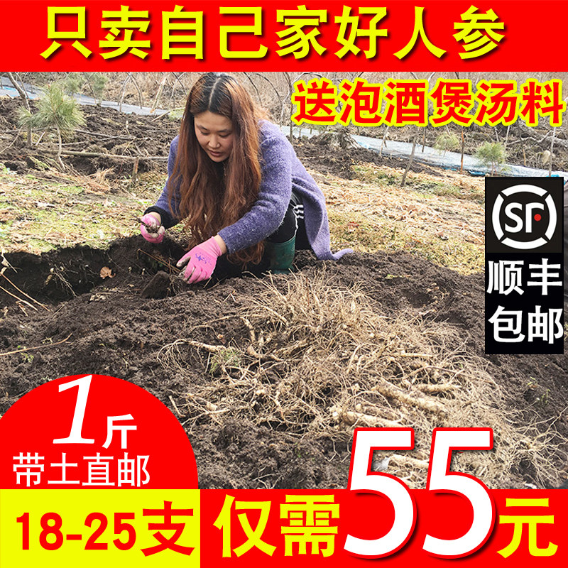 人参带土鲜人参1斤长白山泡酒煲汤人参新鲜人参东北人参500g包邮