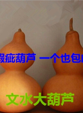 特价瑕疵大中小号天然葫芦