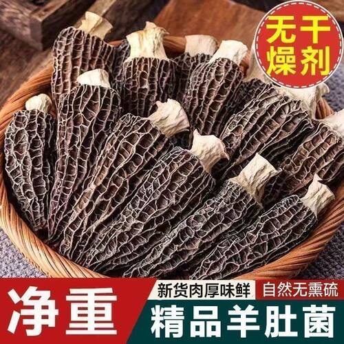 高山羊肚菌干货高性价比