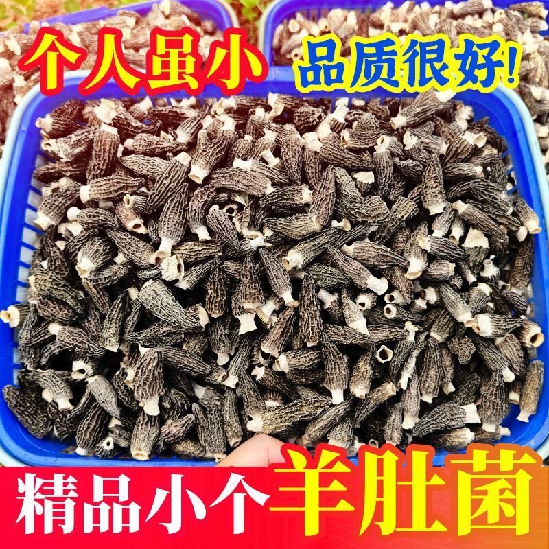 头茬羊肚菌宝宝菇当季新货干货煲汤无熏硫干净无沙密纹厚肉