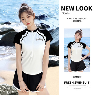 休闲运动风保守游泳衣学生遮肚显瘦游泳健身泳装 泳衣女新款 爆款