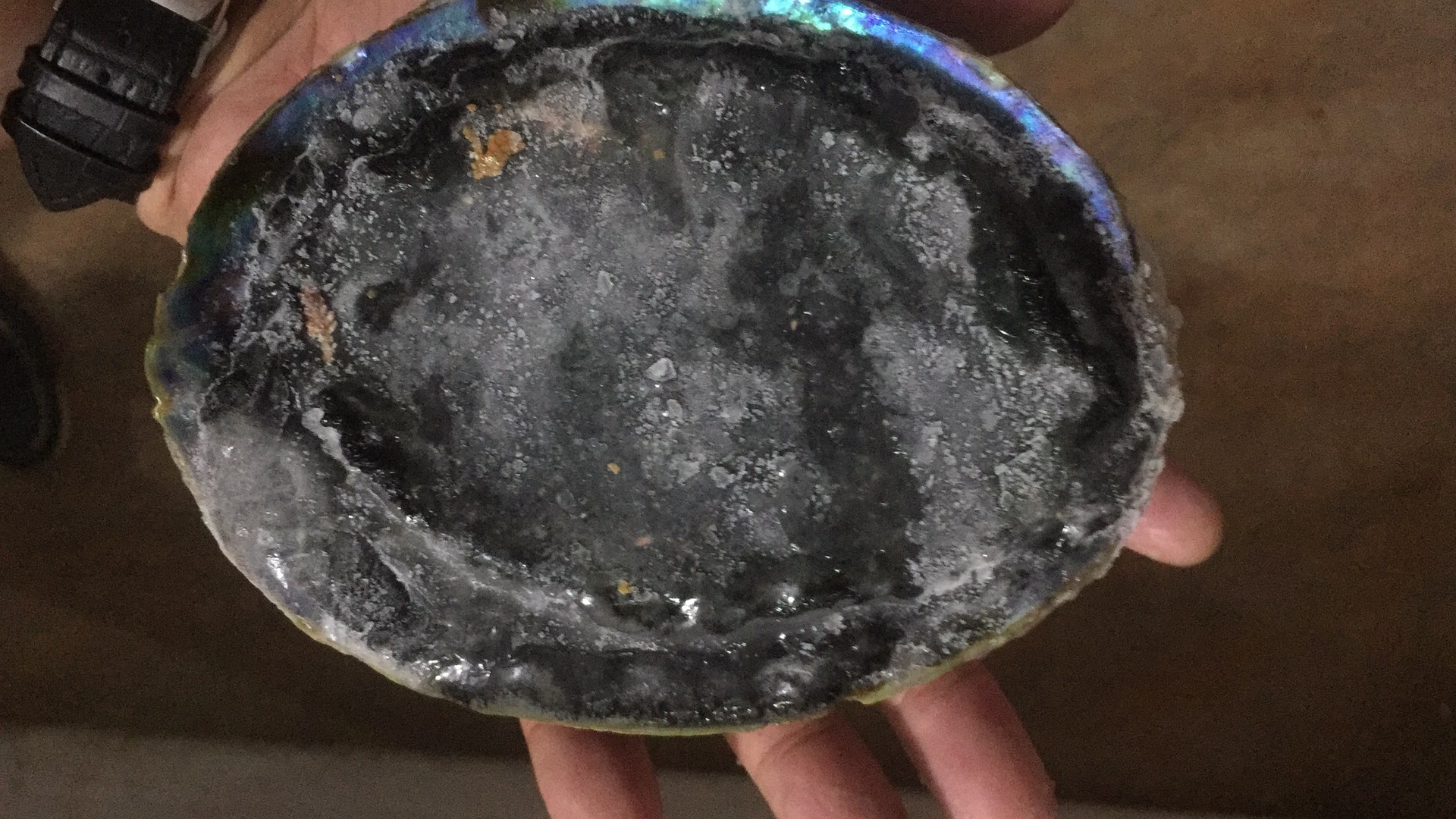 黑金鲍刺身清蒸鲍鱼特大食用