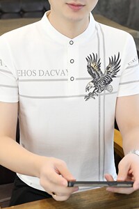 25111-P35 夏季休闲时尚T恤男短袖打底衫商务休闲修身立领POLO衫图片