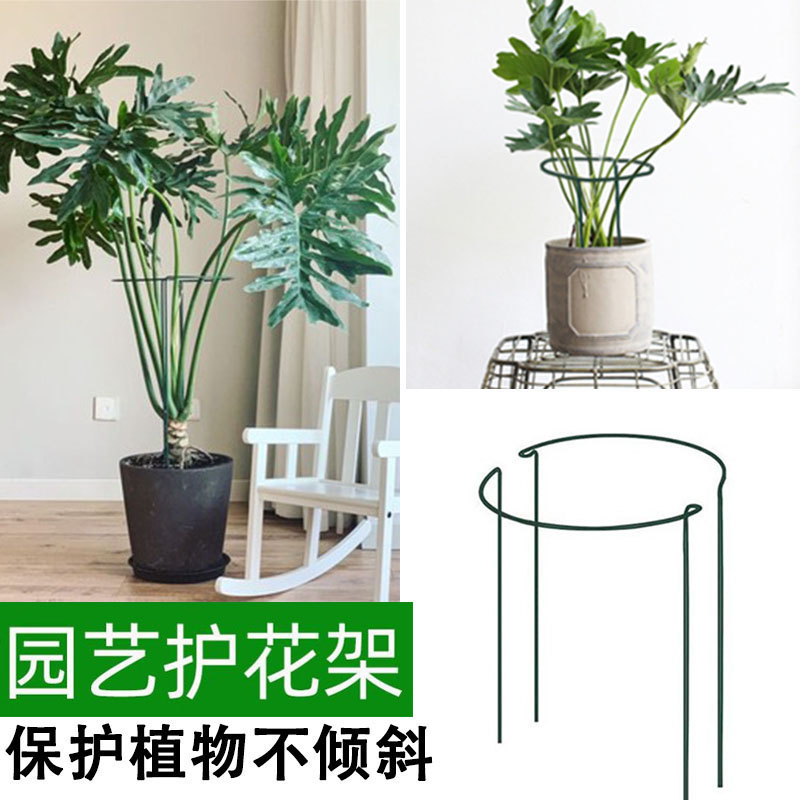 植物固定支架石斛绣球虎皮兰龟背竹支...