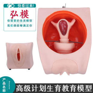 高级计划生育教育模型技能操作训练考核宫内避孕器上环训练