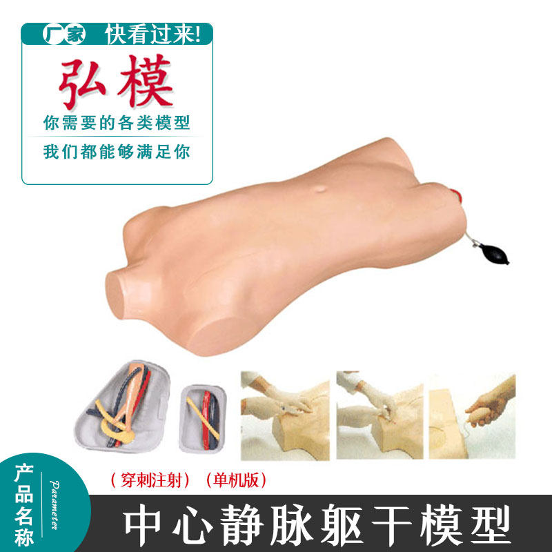 中心静脉穿刺注射躯干模型 静动脉血管分布 插管练习穿刺训练模具