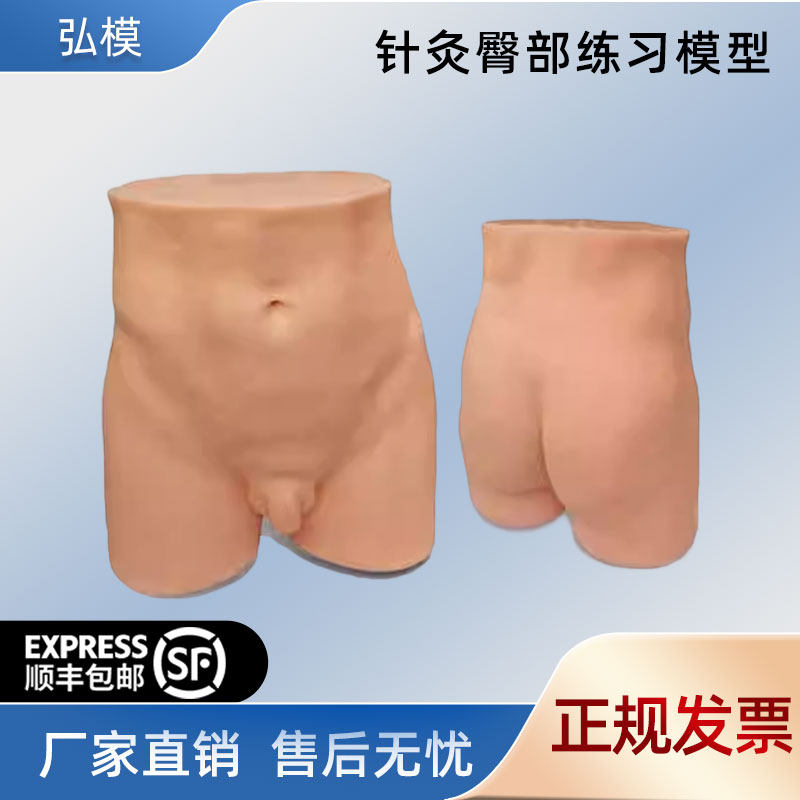 针灸臀部训练模型 中医经络穴位仿真教具 针灸进针行针练习专用
