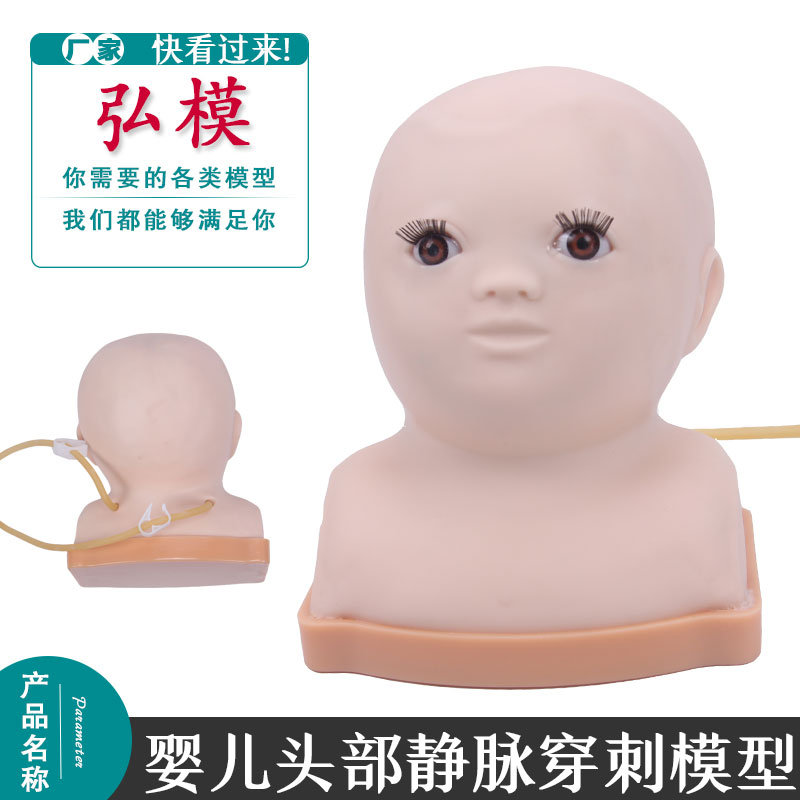 高级静脉穿刺模型弘模婴儿头部