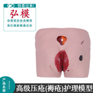 褥疮模型 压疮模型仿真伤口 高级老年人压疮褥疮护理模型医教学用