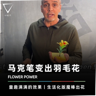 【七夕推荐 妙笔生花】AMOR魔术 FLOWER POWER 魔棒变花魔术道具