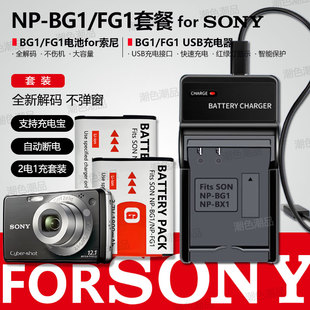 T20 T100 W210 BG1 W220 HX30 FG1电池适用索尼DSC HX10 WX10