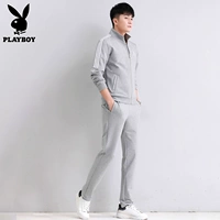 F557 серый костюм