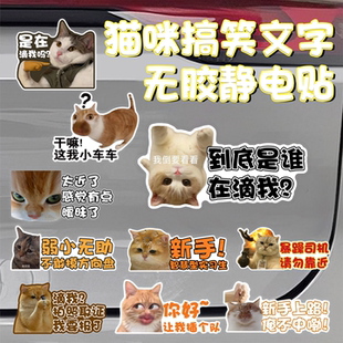 猫meme静电车贴搞笑干嘛这我小车贴纸创意文字猫猫汽车新手贴画