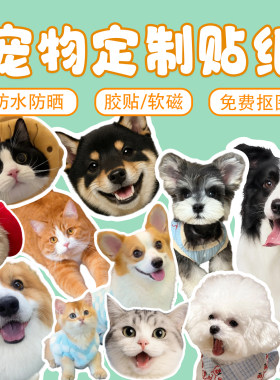 来图定制可爱宠物头像贴纸/磁吸
