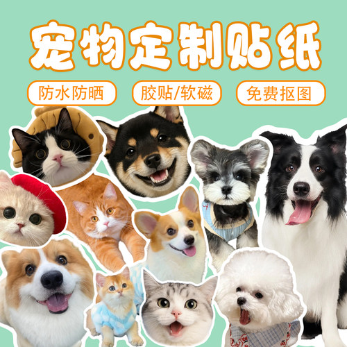 来图定制可爱宠物头像贴纸/磁吸
