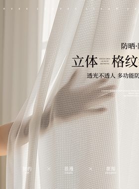 白色纱帘窗纱透光不透人客厅卧室阳台纯色2024新款防刮成品窗帘