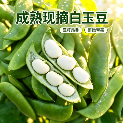 3斤白玉豆新鲜现摘 农家上饶特产洋扁豆带壳1斤白扁豆夹应季蔬菜