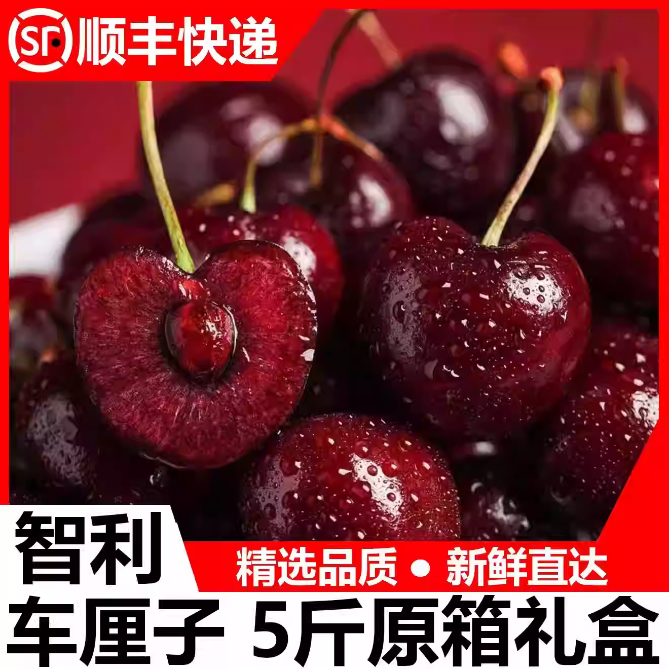 【桑提娜】进口智利车厘子超甜当季新鲜水果大樱桃5斤原箱礼盒装,水产肉类/新鲜蔬果/熟食,车厘子/樱桃,淘宝优惠券,粉丝福利购,淘宝优惠卷