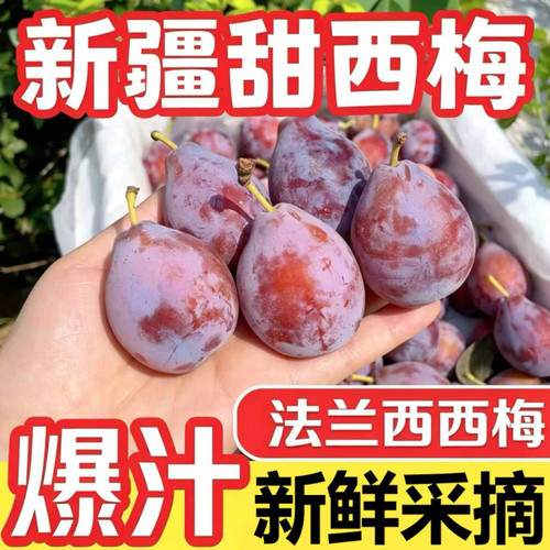 正宗新疆法兰西西梅喀什当季甜西梅新鲜孕妇水果整箱