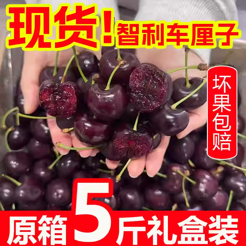 【桑提娜】进口智利车厘子超甜当季新鲜水果大樱桃5斤原箱礼盒装,水产肉类/新鲜蔬果/熟食,车厘子/樱桃,淘宝优惠券,粉丝福利购,淘宝优惠卷