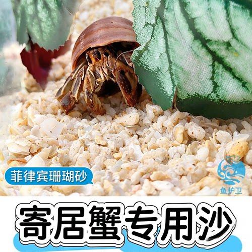 鱼缸造景装饰底砂寄居蟹专用垫材